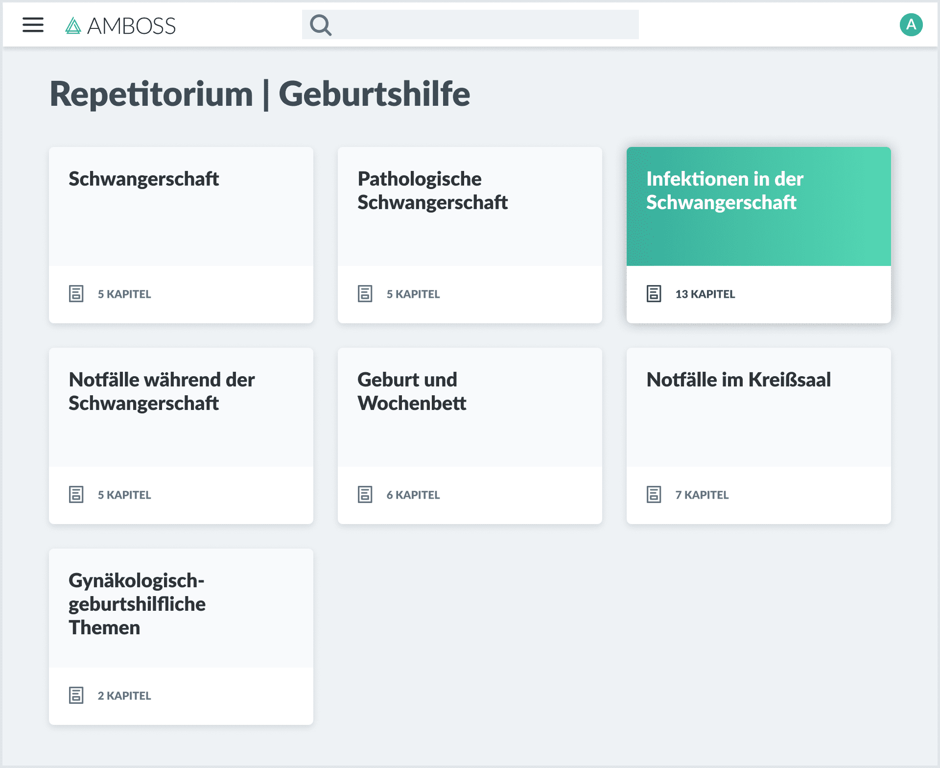 Repetitorium Geburtshilfe